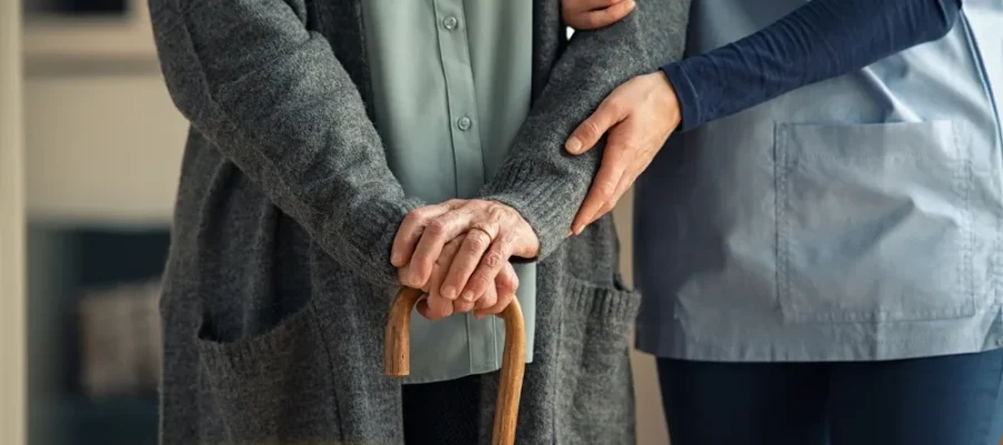 Elderly Home Support